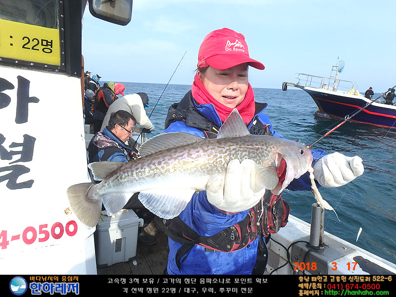 [한하 스페셜호] 대구, 우럭 조황 인터넷바다낚시 - 대한민국 바다낚시 포탈사이트